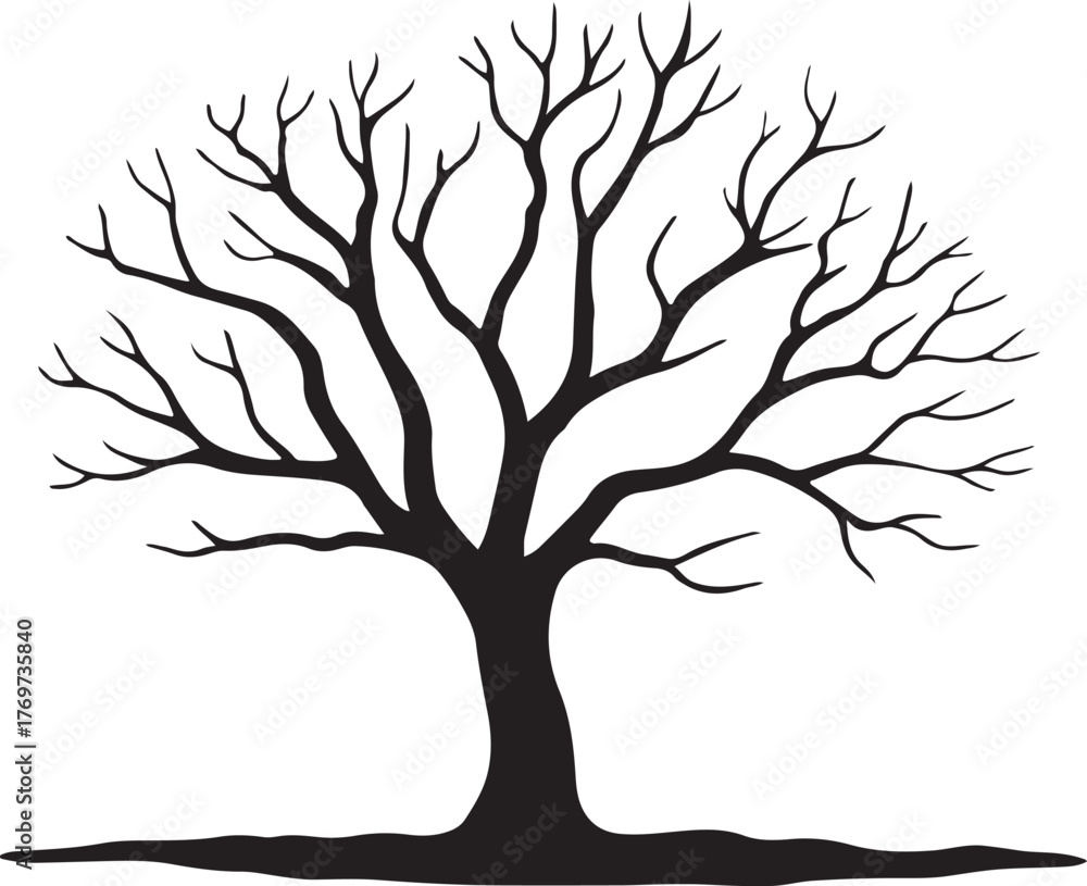 Fototapeta premium bare tree silhouette vector