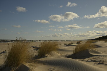 Keuken achterwand Duingras Kustduinen met helmgras en zeegolven  © Martins
