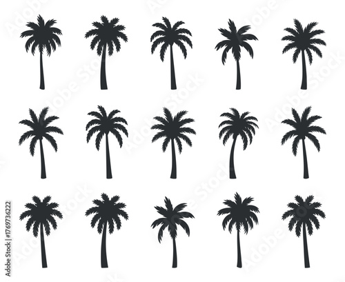 Collection of Palm Tree Silhouettes, Tropical Plant Vector Set