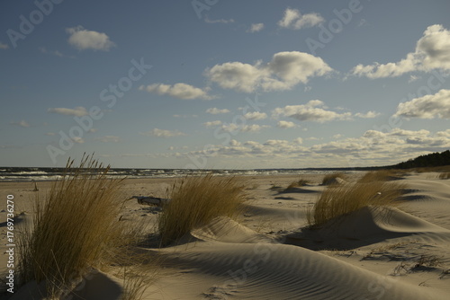 Fototapeta Naklejka Na Ścianę i Meble -  Coastal sand dunes with beach grass and sea waves under blue cloudy sky