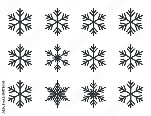 Snowflake Vector Set: Winter Symbol Collection