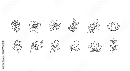 Collection of delicate line art floral elements and botanical illustrations, featuring roses, lilies, lotus flowers, and leafy branches, perfect for elegant designs, invitations, and natural themes
