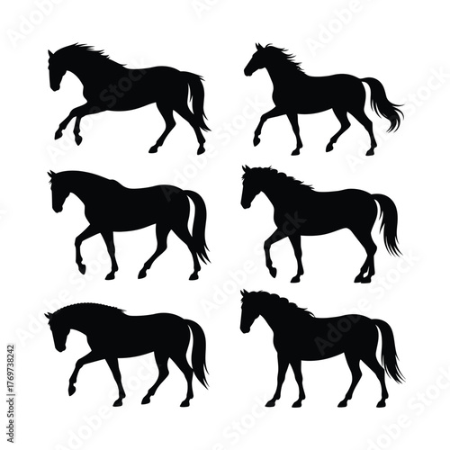 Horses silhouettes set, galloping walking trotting isolated on white