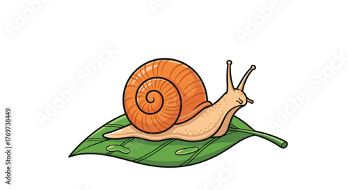 Snail illustration cute snail on leaf cartoon snail vector snail drawing snail art snail image snail graphic