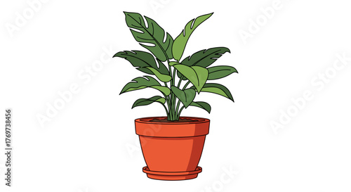 Illustration of a potted houseplant for indoor decor and gardening ideas, green leaves in orange pot design