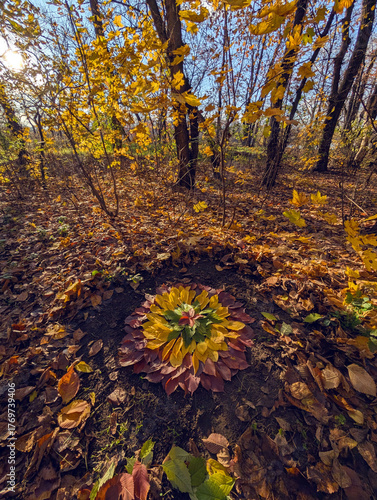Beautiful flower mandala made with colourful autumn leaves in sunny forest
