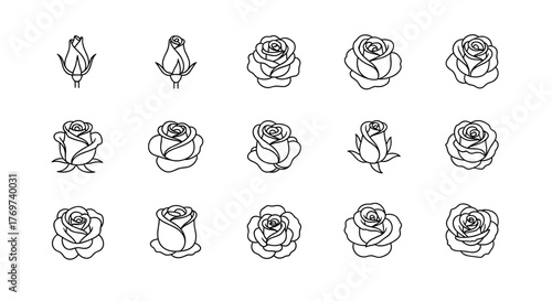 Collection of stylized white line art rose illustrations on a black background, showcasing various stages of bloom from buds to fully opened flowers, perfect for graphic design and decorative