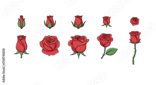 A beautiful collection of red roses in various stages of bloom, from tight buds to fully opened flowers, showcasing the natural elegance and vibrant color of these iconic blossoms, perfect for