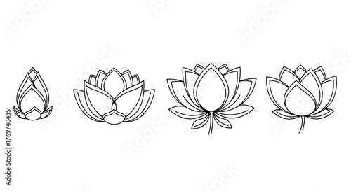 A vibrant and abstract representation of a blooming flower, rendered in a dynamic and energetic style with bold lines and a striking color palette, evoking a sense of growth, renewal, and natural