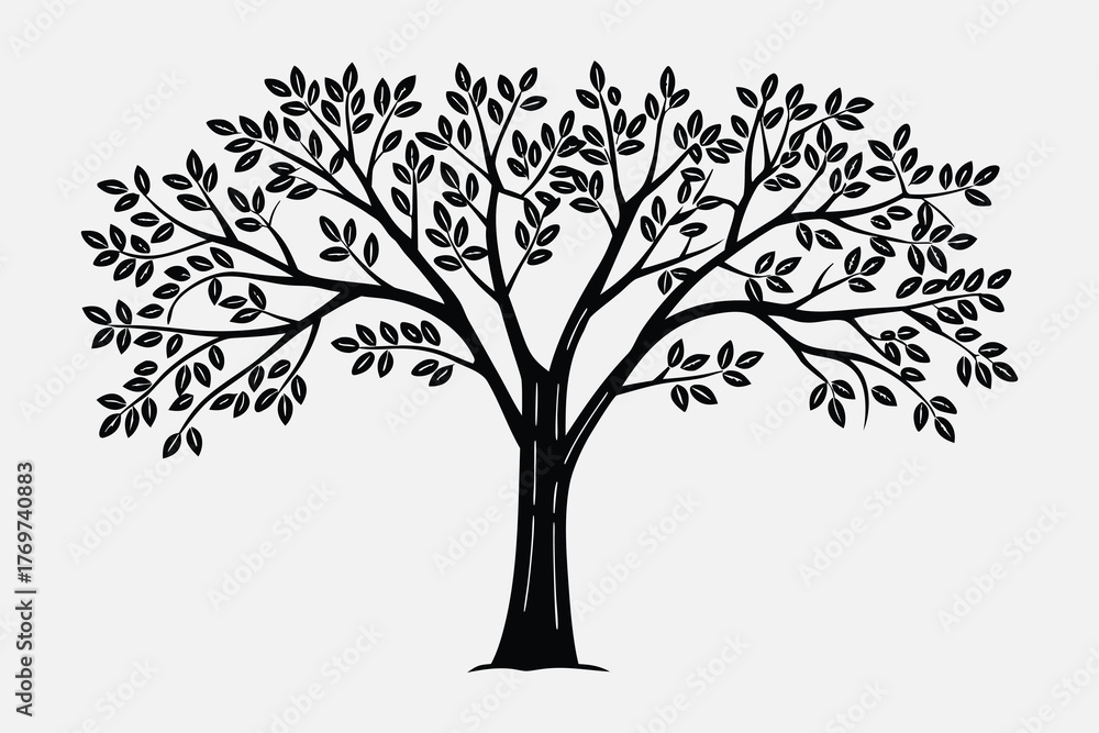 Fototapeta premium Ash tree line art with branches and leaves