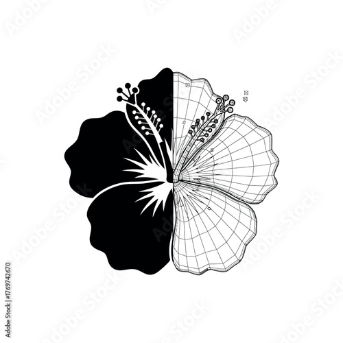 Hibiscus flower illustration half solid black and half wireframe vector design element for botanical studies and creative projects