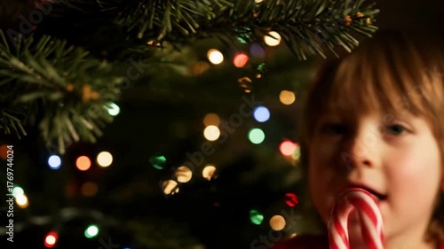 Sweet close-up of a happy little boy taking a candy cane from a festive christmas tree and eating it
