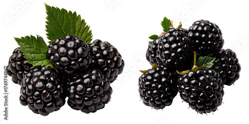 Cluster of blackberries with varying sizes and deep purple color isolated on transparent background
