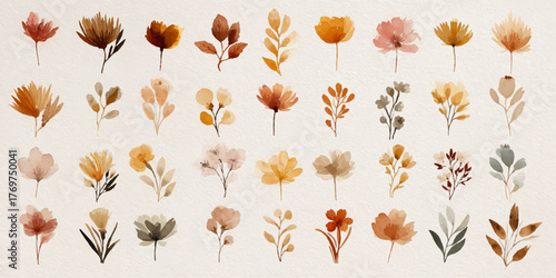Watercolor botanical collection of delicate autumnal flowers and leaves for design projects