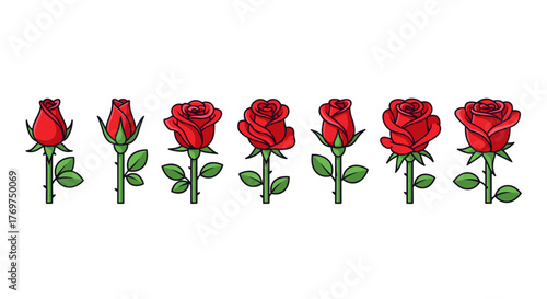 A sequence of six red roses in various stages of bloom, from a tightly closed bud to a fully opened flower, depicted with vibrant red petals and green stems and leaves against a stark black