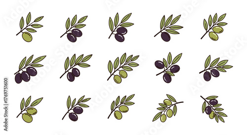 Collection of stylized olive branches with green and black olives, isolated on a black background, representing natural ingredients, healthy food, and Mediterranean cuisine, perfect for graphic