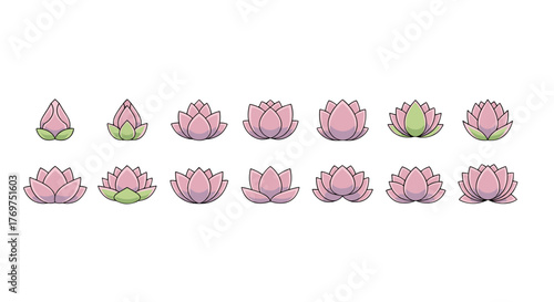 A collection of stylized lotus flowers in various stages of bloom, presented in a clean, modern vector illustration style with a soft pink and green color palette on a black background, ideal for