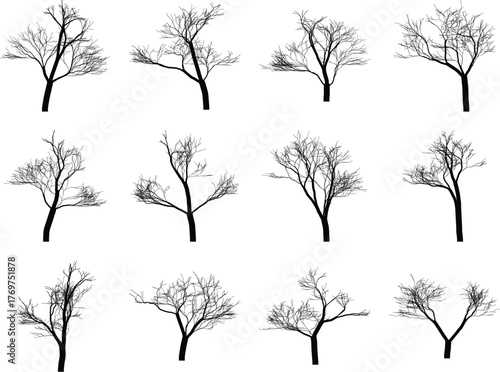 Silhouette trees in winter without leaves collection on white background