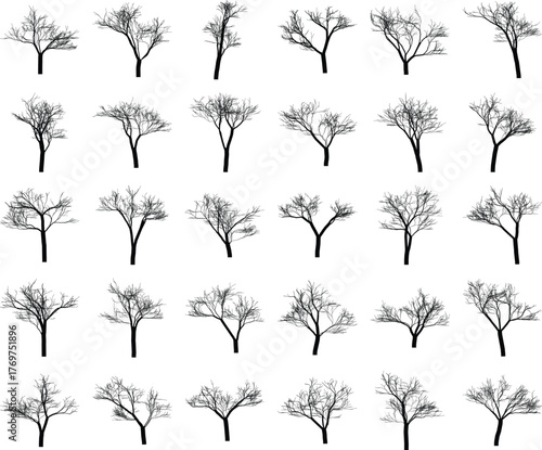 Silhouette of leafless trees creating a stark repeating pattern backdrop