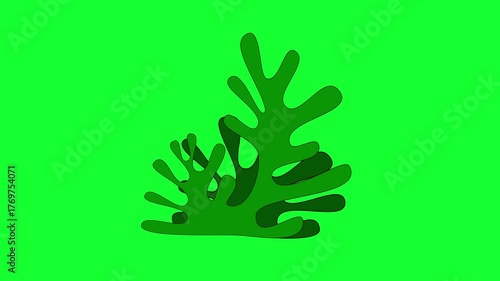 Swaying seaweed isolated on green screen.
