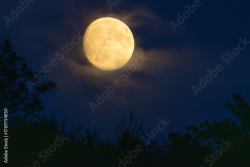 A full moon partially obscured by glowing, soft clouds above the blurred silhouettes of trees.