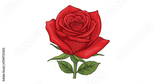 A single, vibrant red rose in full bloom, depicted with rich, saturated colors and bold outlines against a stark black background, showcasing its intricate petal structure and lush green stem and