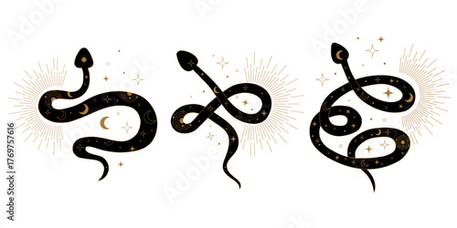 Stylized sacred serpents in mystical geometry patterns representing Kundalini awakening. Symbolic illustration of energy flow transformation healing and connection to divine source.