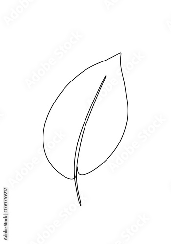 Minimalist single line drawing of a leaf against a clean white background