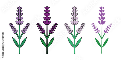 Set of simple lavender flower icons in different shades of purple. Minimalist vector illustration for aromatherapy, spa, or herbal design.