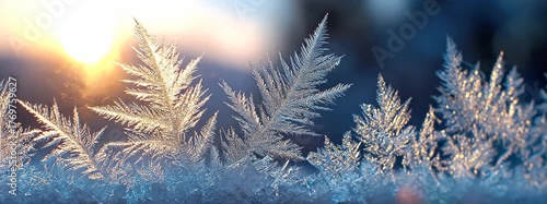 Frosted Ice Leaves Glowing in Morning Sunlight with Blue Background