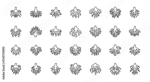 A collection of 28 unique, hand-drawn, black and white illustrations of stylized tree roots or root systems, presented in a grid format on a black background, showcasing intricate details and