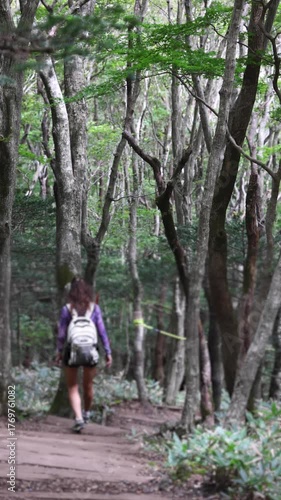 Wallpaper Mural Hallasan National Park, Jeju island, South Korea, vibrant view of trail with a wooden ladder path stairs, trekking and climbing, stairway to Halla mountain summit, hiking in Korea, Jeju-do, sunny day Torontodigital.ca