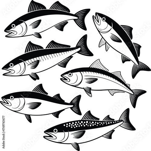 Six fish swimming in a circle in black and white