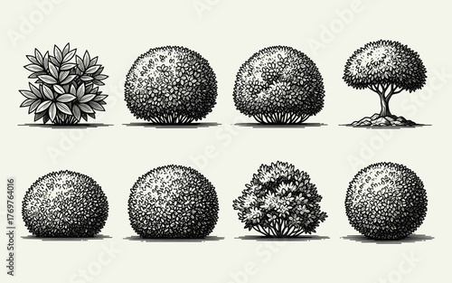 Set of various garden bushes, shrubs, and a small tree in a vintage hand-drawn engraving style