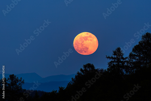 The full moon rises above coniferous trees. In the background is the silhouette of mountains.