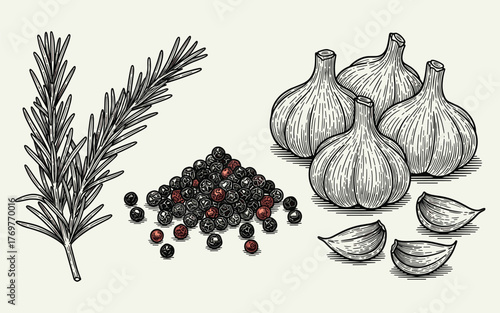 Collection of culinary herbs and spices like rosemary, garlic, and peppercorns in a vintage engraving style