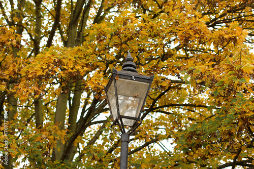 Walking through the middy forest paths around Hertford through the leaves and branches as the colder months of the year wrap themselves around the world