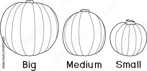 Coloring Page with Three Pumpkins: Small, Medium and Large. Teaching Children About Sizes and Comparison	