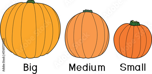 Three Pumpkins: Small, Medium and Large. Teaching Children About Sizes and Comparison