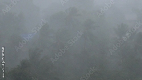 Violent hurricane winds and torrential rain battering palm trees during a powerful tropical cyclone, creating a dramatic and dangerous weather event with very low visibility and heavy downpour