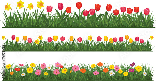 Colorful flower rows in grass, tulips, daffodils, daisies, spring bloom, garden illustration, seasonal nature vector, floral cartoon design