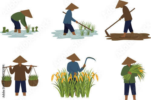 Rice farming vector illustration set, six conical-hat workers performing planting, harvesting, and soil tasks, white background for agriculture and rural concepts