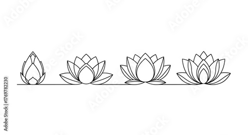 Minimalist line art illustration showcasing the growth stages of a lotus flower, from a closed bud to a fully bloomed blossom, presented in a clean, elegant, and modern style against a stark black