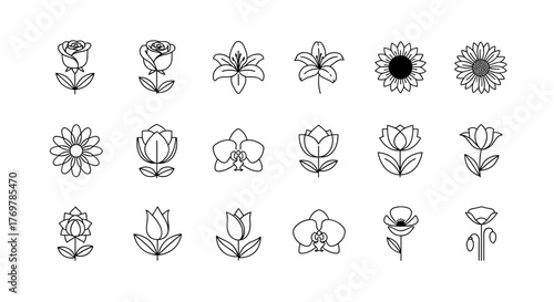 Collection of stylized white line art floral icons on a black background, featuring a variety of flowers like roses, lilies, sunflowers, orchids, tulips, and poppies, presented in a clean and modern
