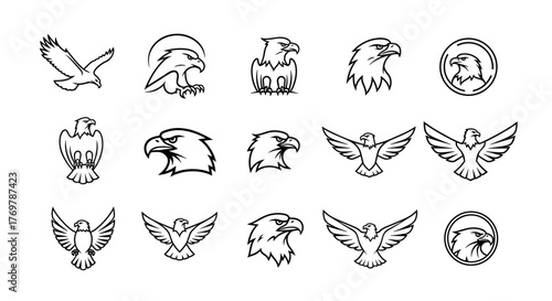 Collection of stylized eagle and falcon icons and logos, featuring various poses and head profiles, presented in a clean, minimalist line art style, perfect for emblems, mascots, and graphic design