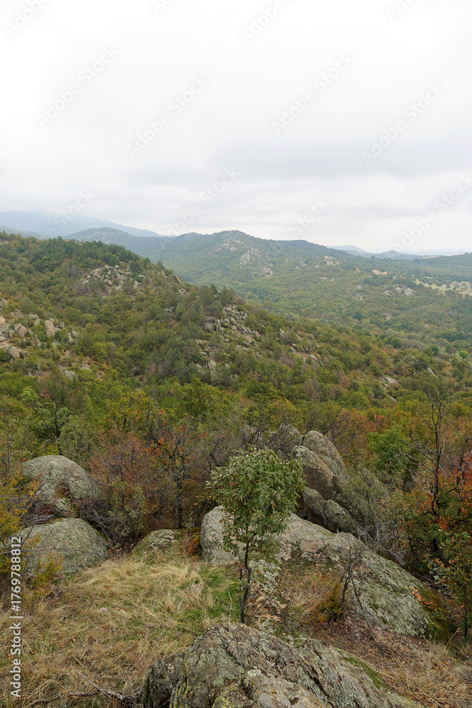 Obraz premium Mountain landscape panorama rocks stones trees forest Balkans autumn cloudy day nature