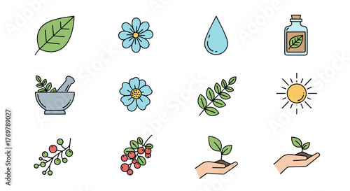 Set of nature-themed vector icons for cosmetic branding, including leaves, flowers, water drops, essential oil bottles, mortar and pestle, berries, and hands nurturing plants under the sun, perfect