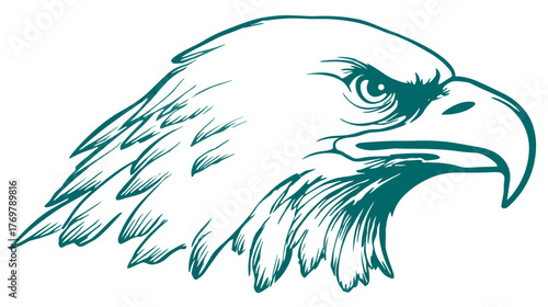 A fierce eagle head is depicted in a teal-colored line art style on a white plane