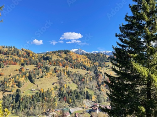 Beautiful autumn landscape in the Carpathian Mountains of Romania. Vibrant forest colors, green meadows, and a snow-capped peak under a clear blue sky create a perfect scene of natural harmony 