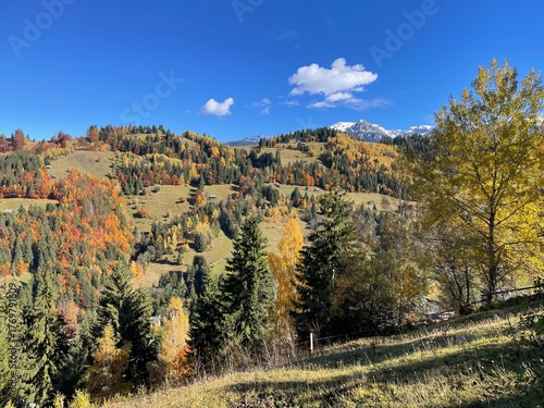 Beautiful autumn landscape in the Carpathian Mountains of Romania. Vibrant forest colors, green meadows, and a snow-capped peak under a clear blue sky create a perfect scene of natural harmony 